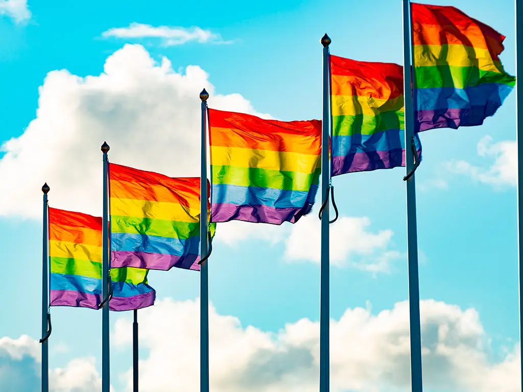 Campaña Arcoiris 71 instituciones flamearán la bandera del orgullo.